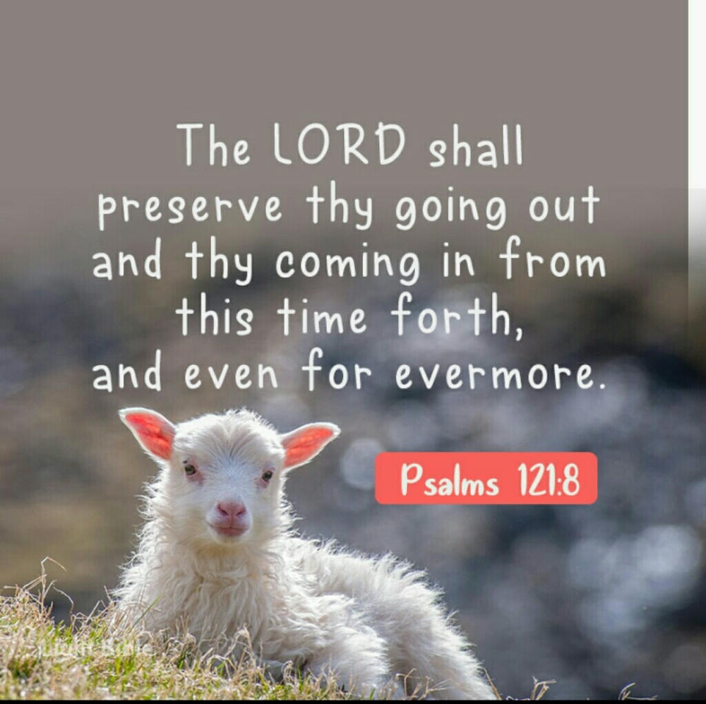 Verse Of The Day